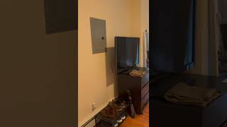 Studio For Rent In South Boston  Apartment Advisor [upl. by Bernt]