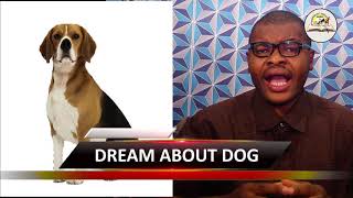 DREAM ABOUT DOG  Evangelist Joshua Orekhie [upl. by Ardel]