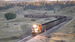 BNSF Coal Train on the Sarpy Line Montana [upl. by Popele]