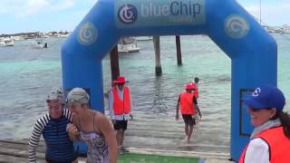 2016 Swim Thru Rottnest [upl. by Culley620]