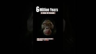 6 Million Years Of Evolution In Under 60 Seconds From Ape To Man Creationism [upl. by Hedda]