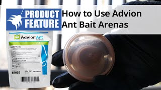 How to Use Advion Ant Bait Arenas  DoMyOwncom [upl. by Oedama]