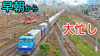 【首都の中枢】東京貨物ターミナルは早朝から大忙し【貨物列車が次々に到着】Freight trains of Tokyo freight terminal [upl. by Annoif77]