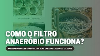 O QUE ACONTECE DENTRO DO FILTRO ANAERÓBIO [upl. by Maer]