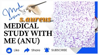 staphylococcus food poisoning from microbiology Apurba sastry [upl. by Strenta446]