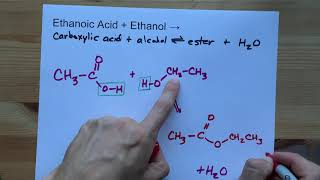 Ethanoic Acid  Ethanol   Ester Reaction [upl. by Aicirtam]