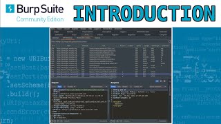 Introduction to Burp Suite for beginners [upl. by Rieth]