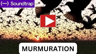 MAKE MUSIC LIKE A PRO IN SOUNDTRAP [upl. by Thurlow]