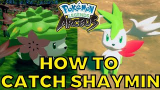 How to catch Shaymin Guide in Pokemon Legends Arceus [upl. by Dot]