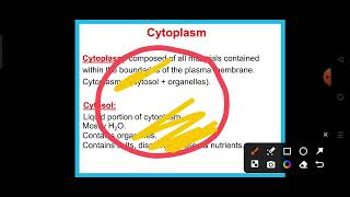 Lecture 2 Cell organelles part 1 [upl. by Aita]