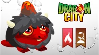 Dragon City  Getting Volcano Dragon 100 No Hack [upl. by Rozanna352]