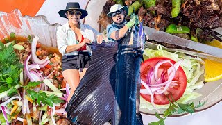 Sailfish Catch N Cook in Mexico [upl. by Hanus]