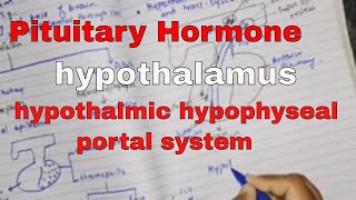 Pituitary hormone and their control by hypothalamus part 2 hypothalmic hypophyseal portal system [upl. by Iorgo]