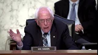 Sen Sanders grills pharma CEOs on insulin prices [upl. by Htesil]