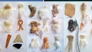 Textile Fiber and Its properties [upl. by Sontag]