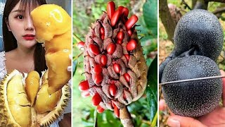 10 Frutas Exóticas Mais RARAS e INCRÍVEIS do Mundo  Parte 1  Exotic Fruits of the World [upl. by Egres]