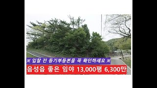 음성읍 좋은 임야 13000평 2억→6천3백만 등기사항전부증명서등기부등본를 확인한 바 선순위 인수 조건이 있는 물건으로 밝혀졌습니다 ※ 입찰 금지하세요 [upl. by Eisset561]