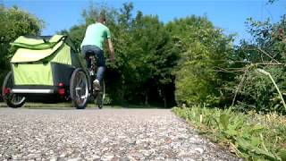 Croozer Bike Trailer at the Grocery Store [upl. by Alikat]