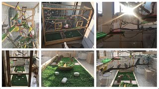 Building The Most Beautiful Aviary Budgie Kingdom [upl. by Ladew]