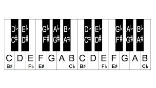 How Are Piano Keys Labeled How To Label The Piano Keyboard [upl. by Ardra]