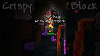 My Worst Fails In Zenith Seed Terraria challenge terraria gaming shorts funny [upl. by Ulises629]