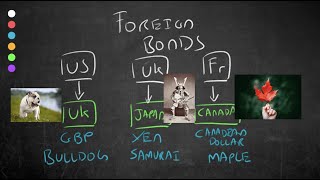 Eurobonds and Foreign Bonds [upl. by Leede]