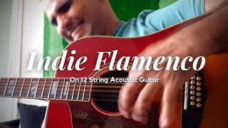 Flamenco On Acoustic Guitar12 strings shorts [upl. by Sirrot736]