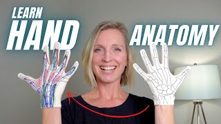 Why You Should Get the Anatomy Softwear Glove Learn Hand Anatomy [upl. by Katrinka]