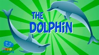 The Dolphin  Educational Video for Kids [upl. by Britta]