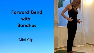 Forward Bend with Bandhas [upl. by Aiuqet]