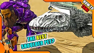 BEST SHOULDER PET IN THE GAME  HOW TO TAME A Dimorphodon amp All Abilities [upl. by Macdermot308]