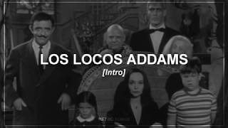 Los Locos Addams  Intro  Letra [upl. by Euqenimod690]