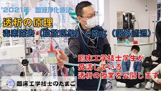 臨床工学技士のたまご～透析の原理（拡散、限外濾過）をわかりやすく（授業の一部を公開します） [upl. by Letney]