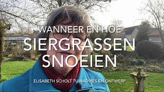 Wanneer en hoe SIERGRASSEN snoeien [upl. by Edualcnaej567]