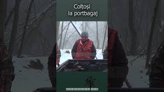 Colțoși la portbagaj [upl. by Nodnas]