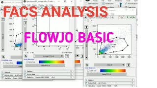 FLOWJO BASIC II FACS DATA ANALYSIS II Xgene and proteinX [upl. by Yraeht]