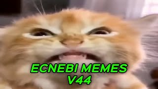 ECNEBI MEMES V44 [upl. by Sharyl521]