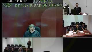 AUDIENCIA DE JUICIO MATERIA PENAL [upl. by Trace]