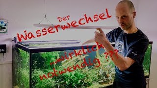 Wasserwechsel im Aquarium  Profi Tipp [upl. by Bethena]