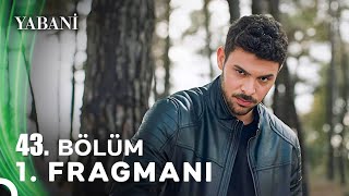 Yabani 43 Bölüm Fragmanı [upl. by Nilekcaj]