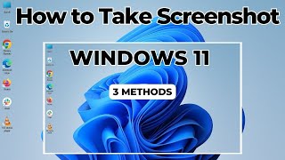 How to Take Screenshot in Windows 11 3 Simple Methods [upl. by Jud]