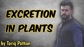 Chapter Homeostasis  Excretion in plants  Tariq Pathan [upl. by Ahsinek217]