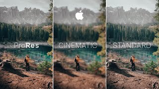 iPhone 12 amp 12 Pro Cinematic Footage and Photos Camera Test [upl. by Bolitho]