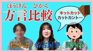 【方言比較】名古屋弁・関西弁・標準語比べてみた！！！ [upl. by Rohpotsirhc]