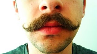 Mustache Growth Time Lapse [upl. by Rickey951]