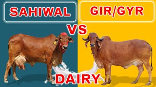 Sahiwal vs Gir or Gyr  Two Best Cow Breeds for Dairy in India and Pakistan  Plus 10 Dairy Breeds [upl. by Esele]