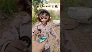 bandar mama pahan pajama dawat 🐒🦍😋🍬 trending funny [upl. by Alberta]