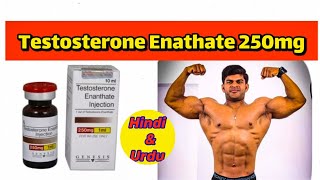 Testosterone Enathate 250mg doses  benefits Side effects Pct  full explained in Hindi amp Urdu [upl. by Englebert819]