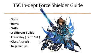 Cabal Mobile  Force Shielder Guide  Stats  Items  Skills  2 different Builds [upl. by Ravo732]