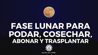 🌖 Como Usar Fases Lunares Para Podar Cosechar Abonar Injertar y plantar 🌙 [upl. by Zollie321]